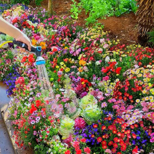 Wildflower Seed Mix YT